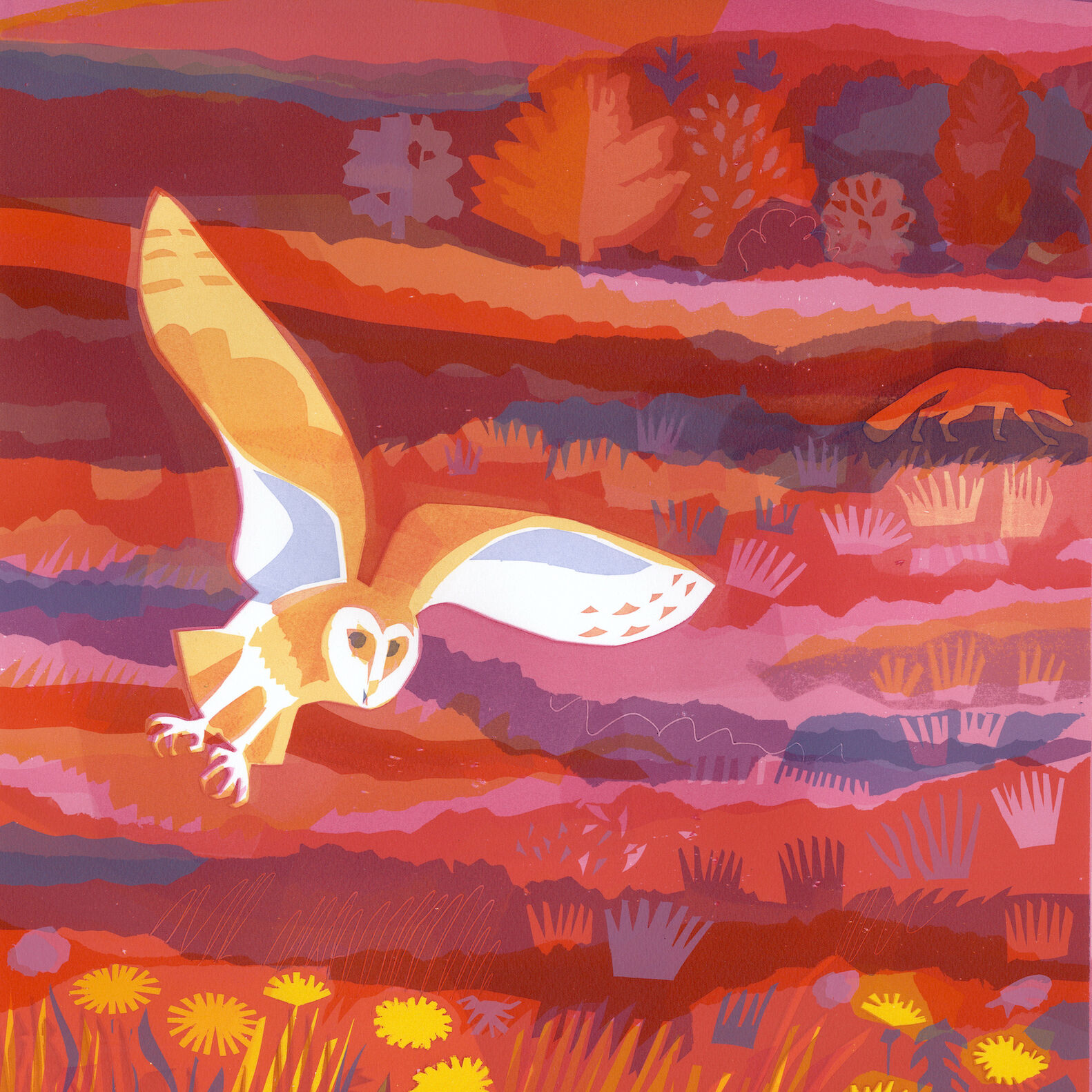 Pink Owl Sunset