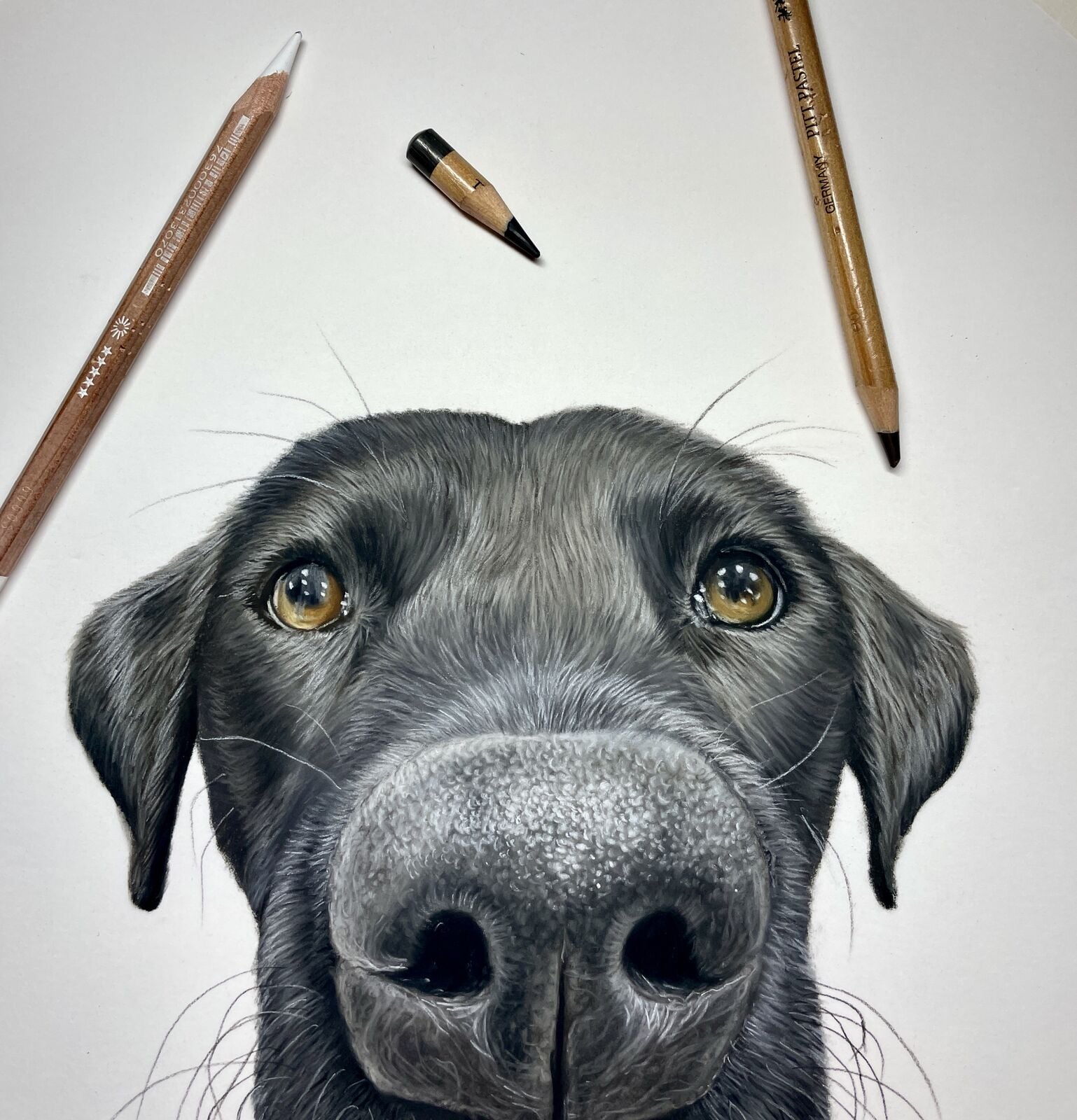 Alfie Commission — rosie norman