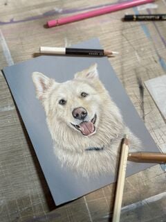 Commissions/Pet Portraits 2020-present