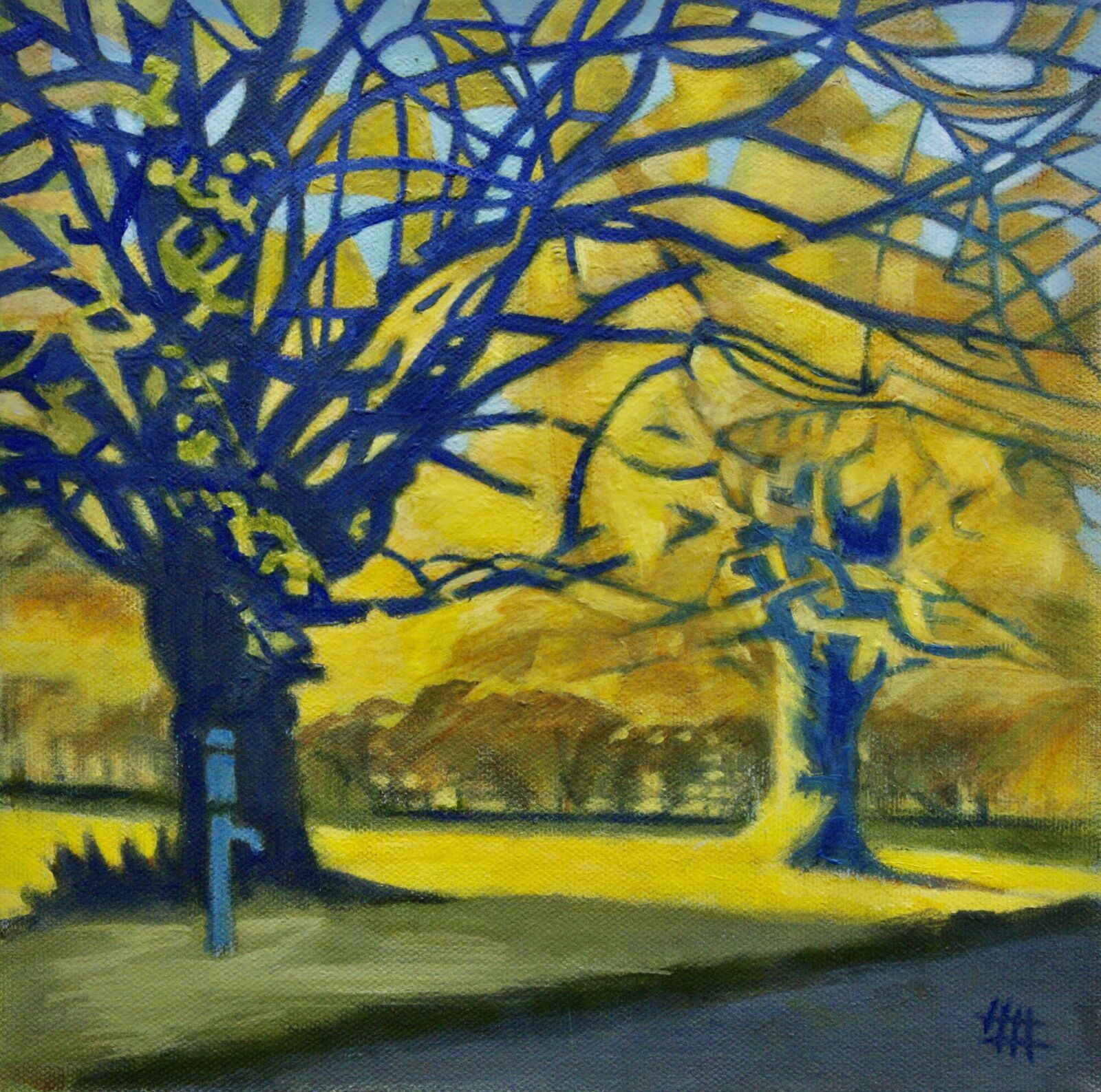 Laxton Village Green