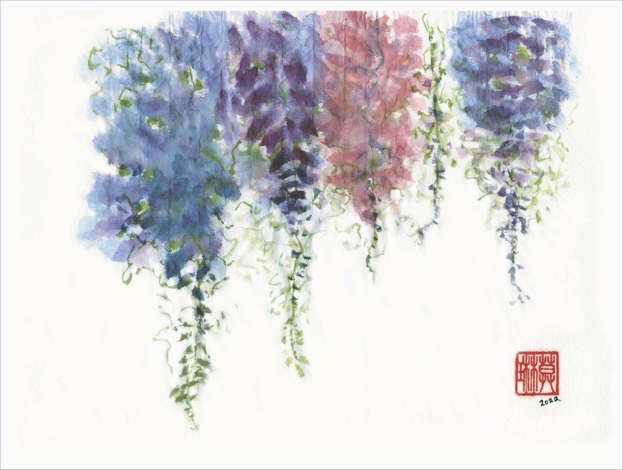 Wisteria