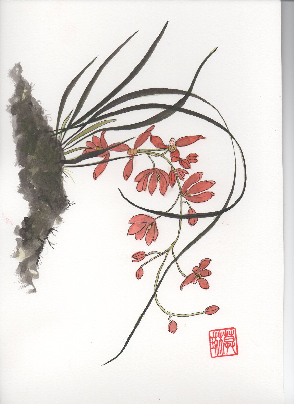 Orchid Blossom (3)