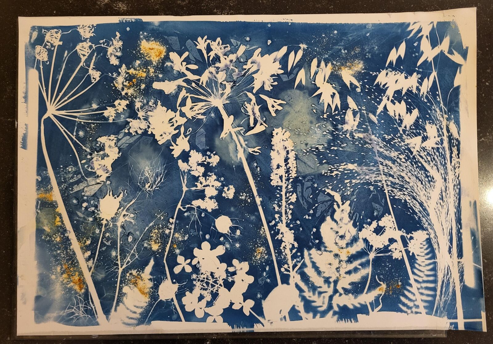 Mixed botanicals