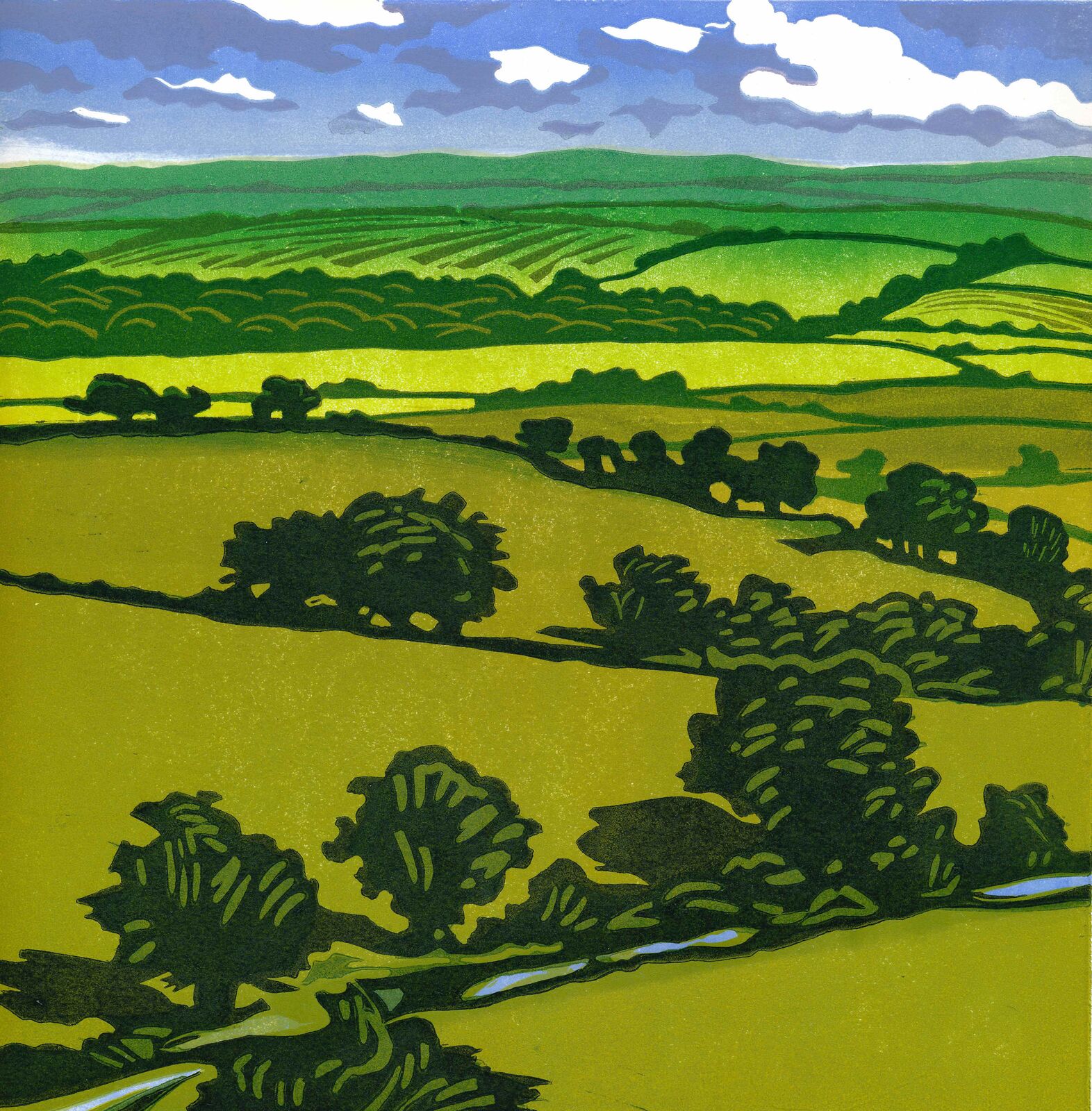 Weald view