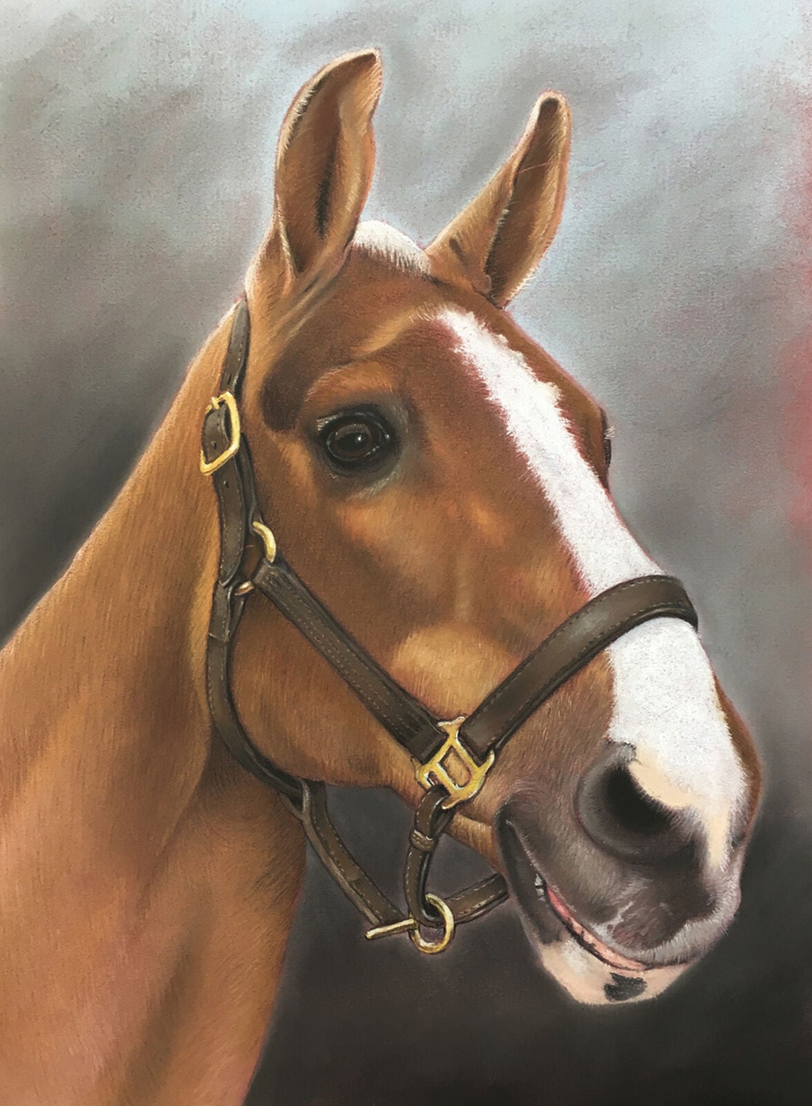 Horse portrait commission