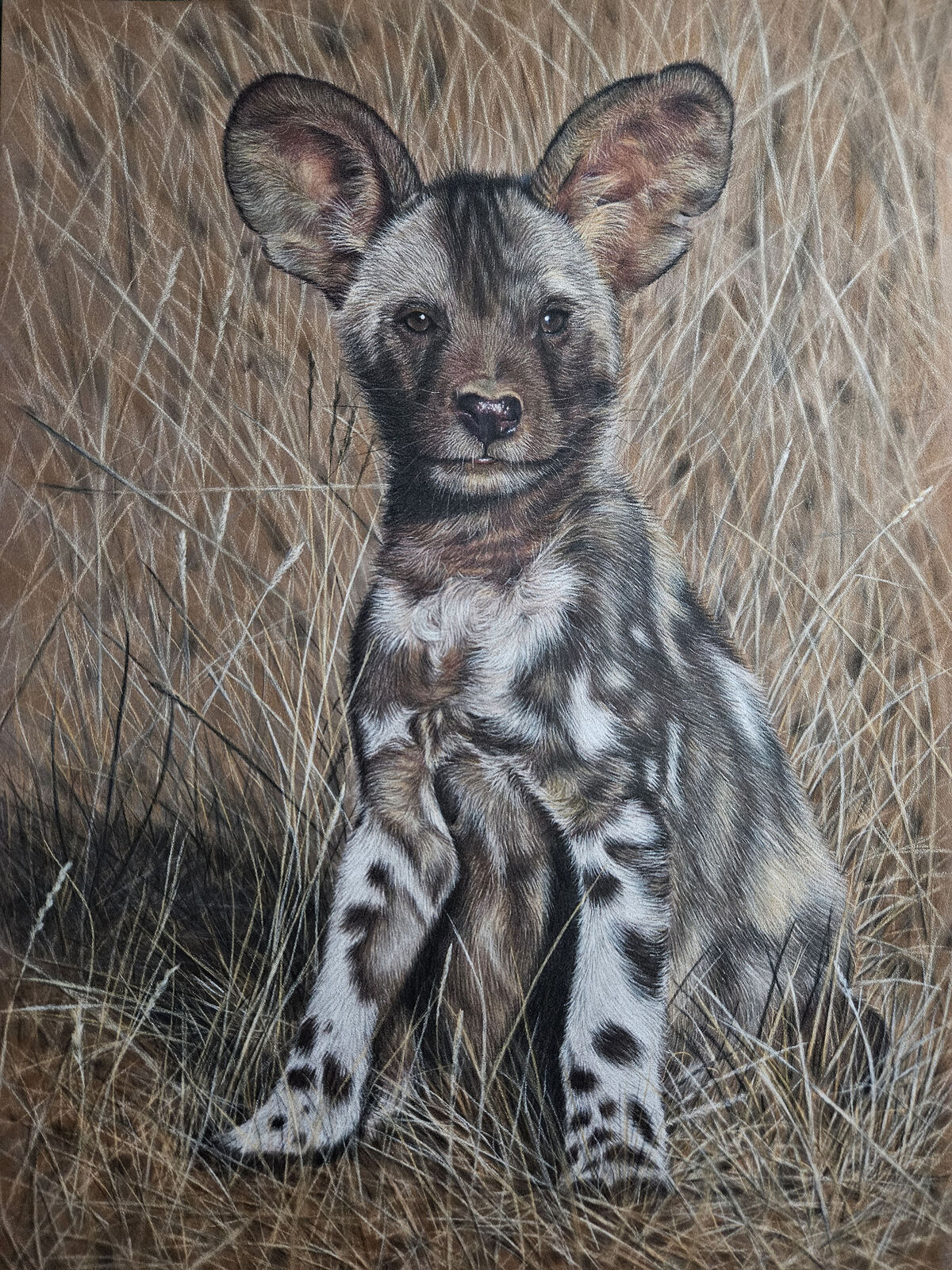 Savannah Scout