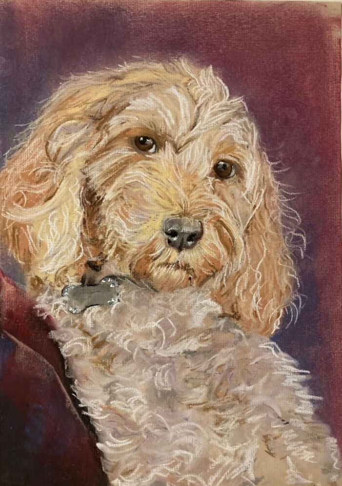 ‘Phoebe’ commission in pastel.