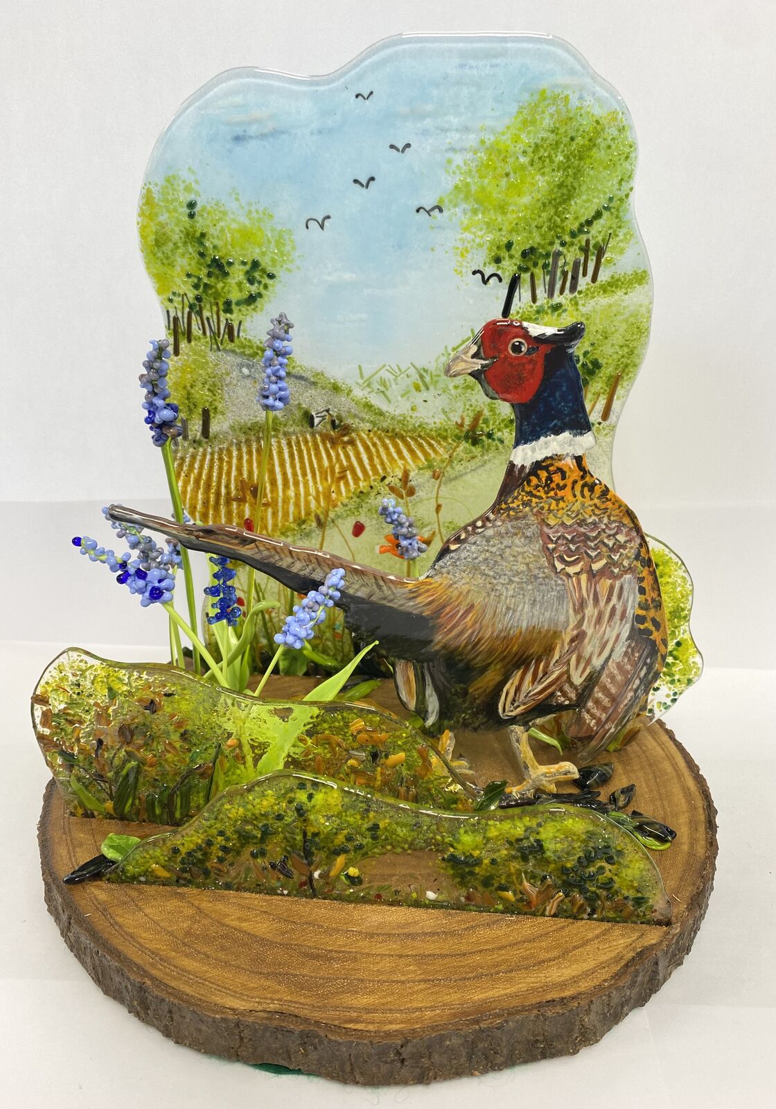 Pheasant in landscape