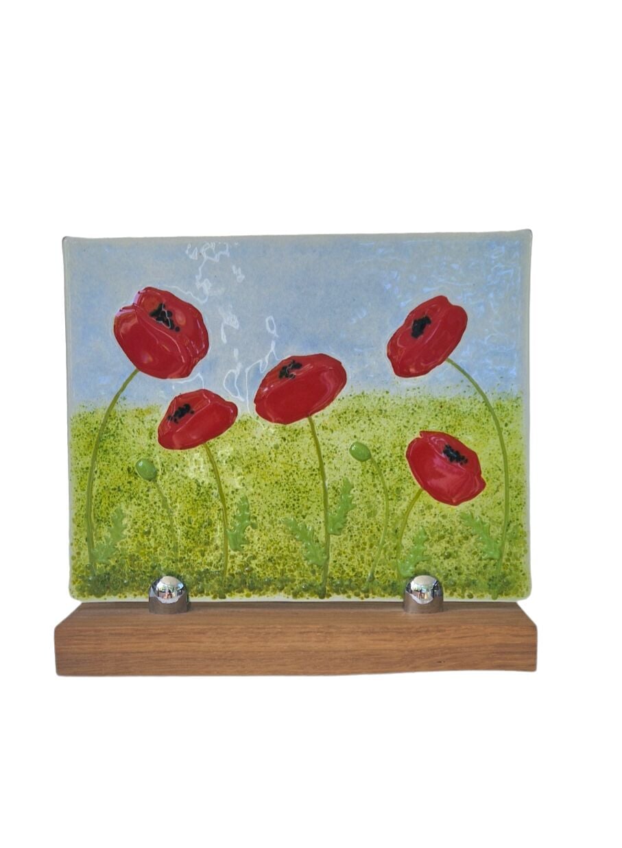 Poppies