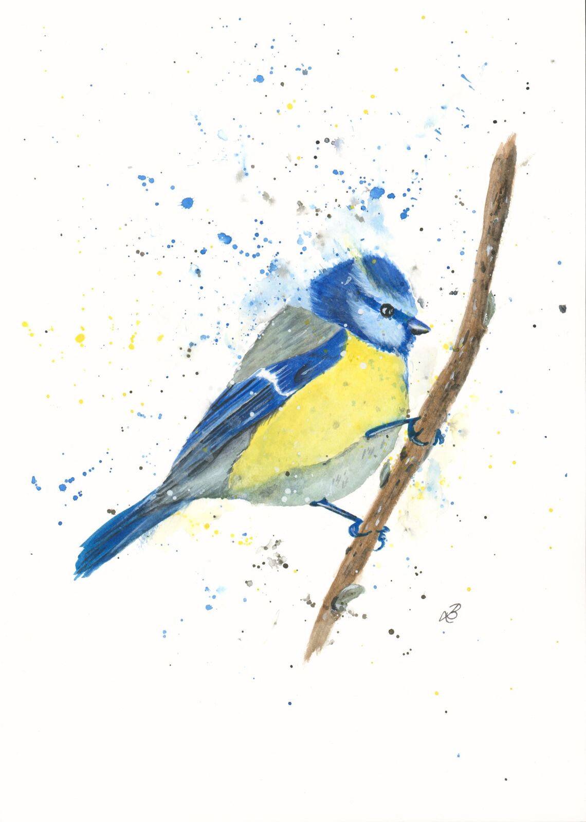 Eurasian Blue