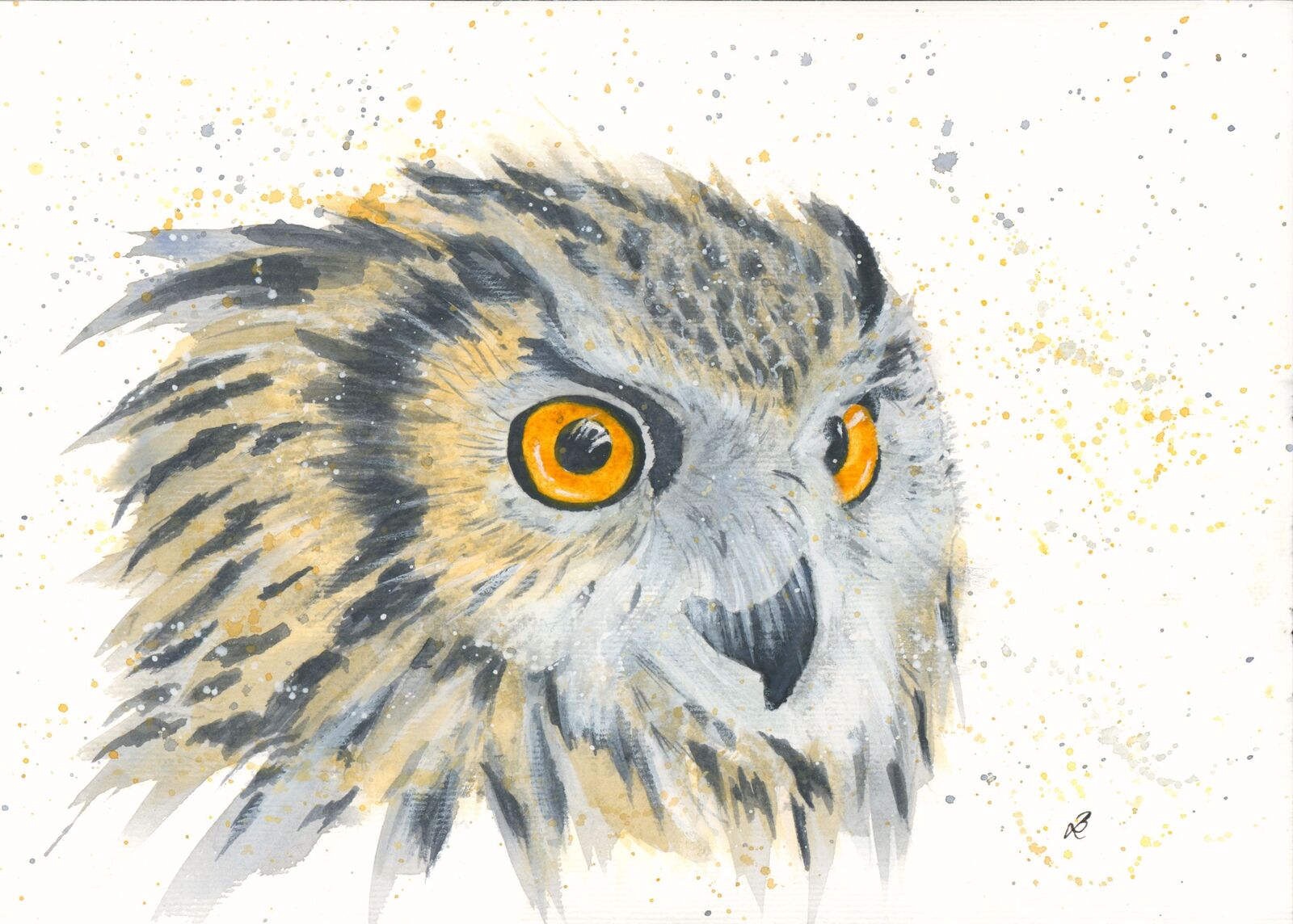 Eagle Owl  - Uhu