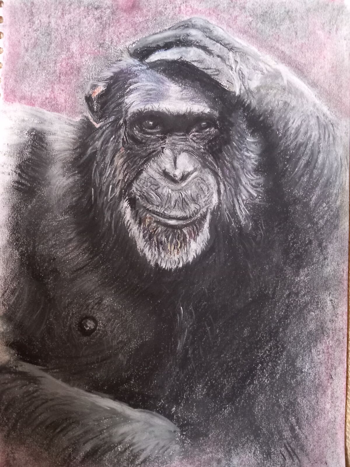 Monkey Business