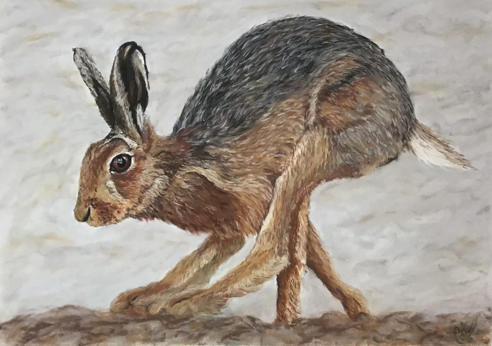 Racing Hare