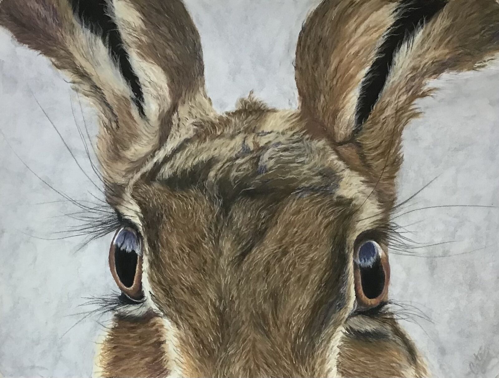 In a Hares Eyes