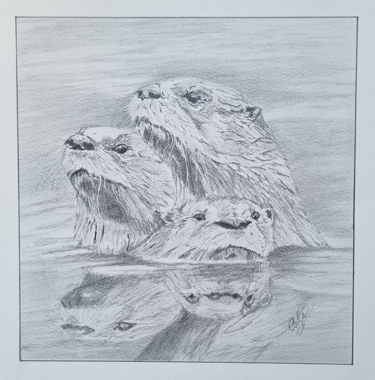 Trio of Otters