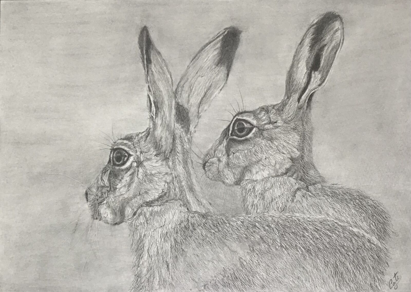 Pair of Hares
