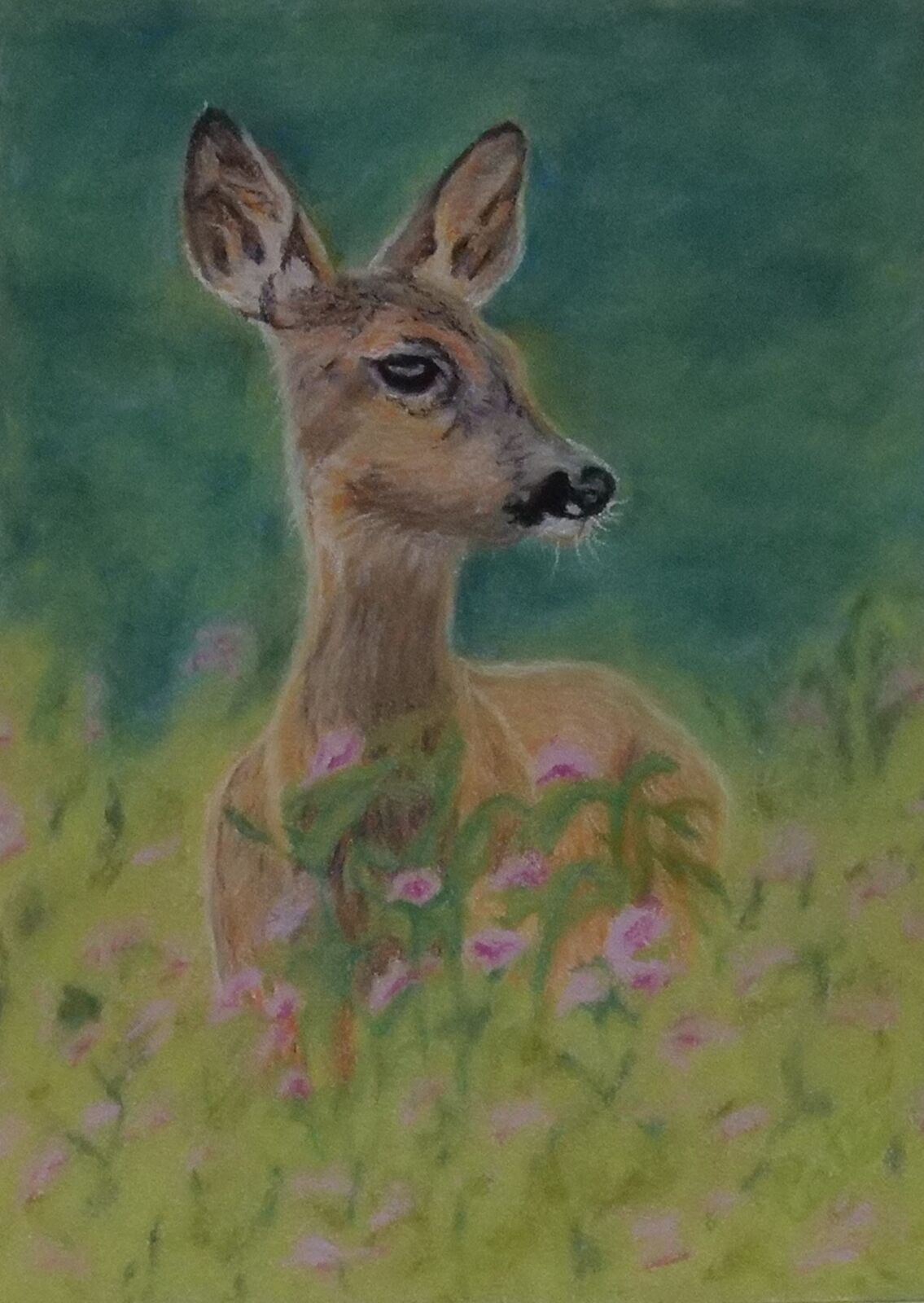 Small Deer