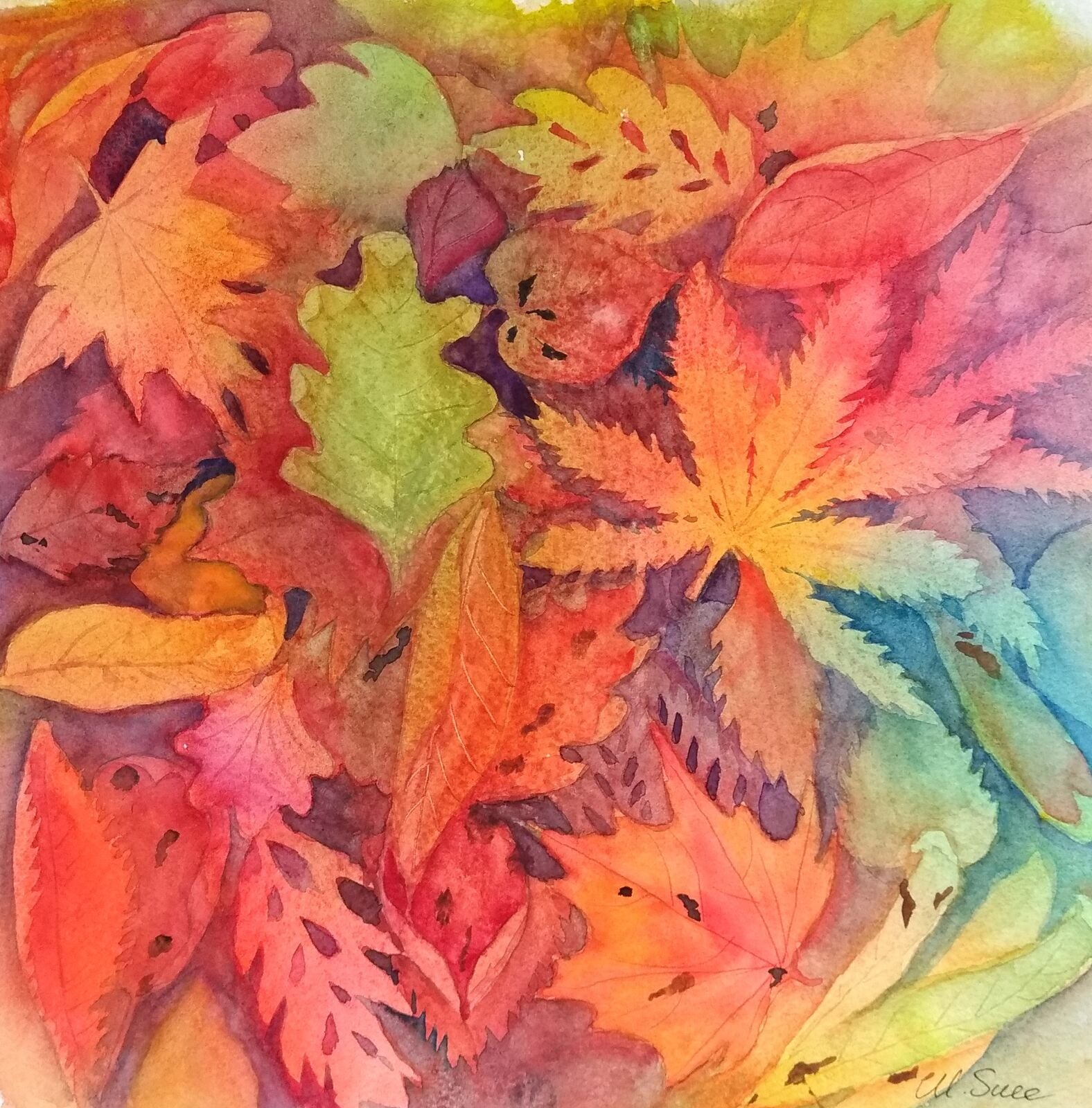 Fallen leaves