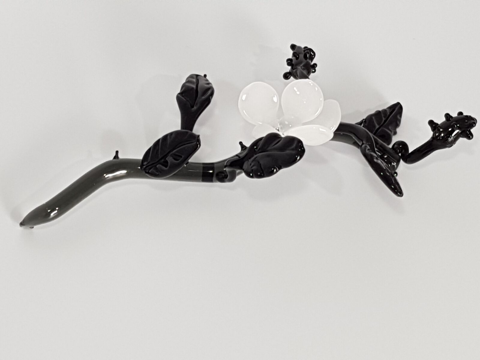 Blackberry Stem