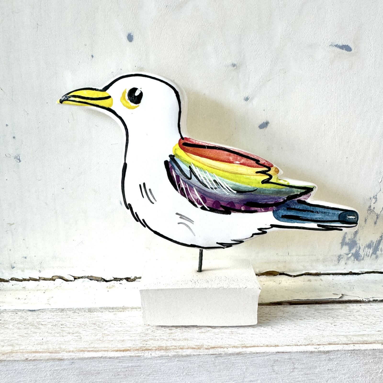 Rainbow Gull rainbow
