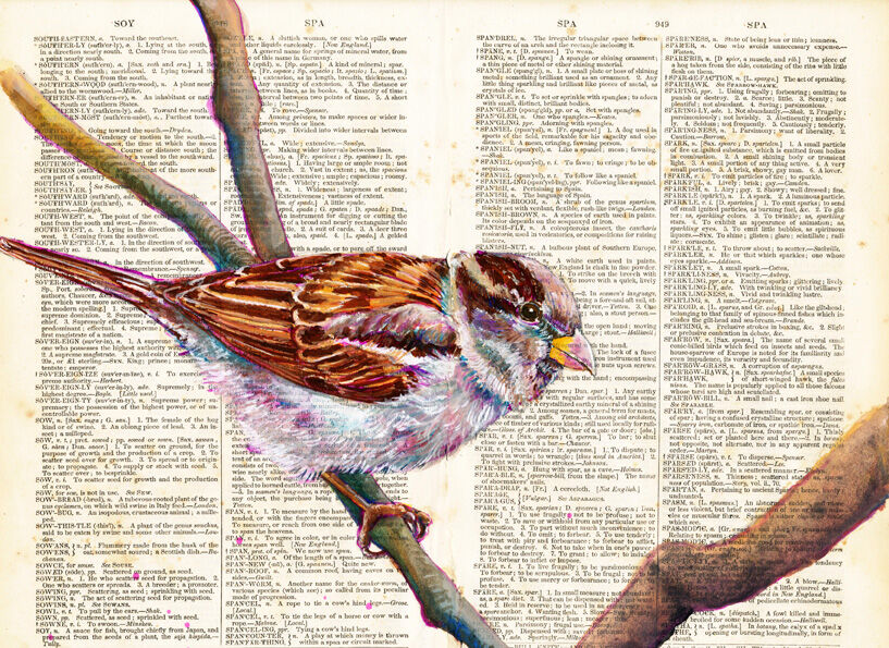 Sparrow on 1892 Dictionary Paper