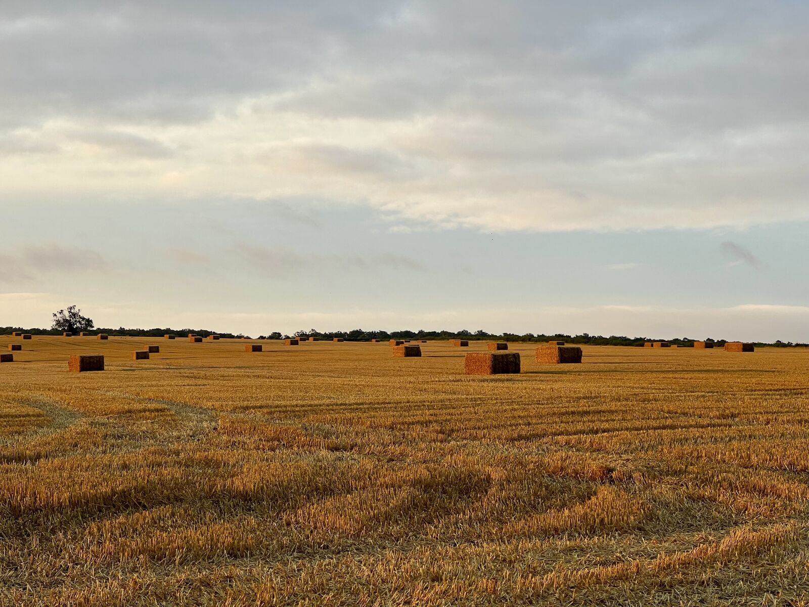 Sunrise over harvest