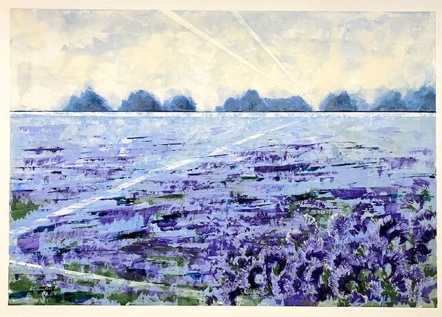 Field of phacelia