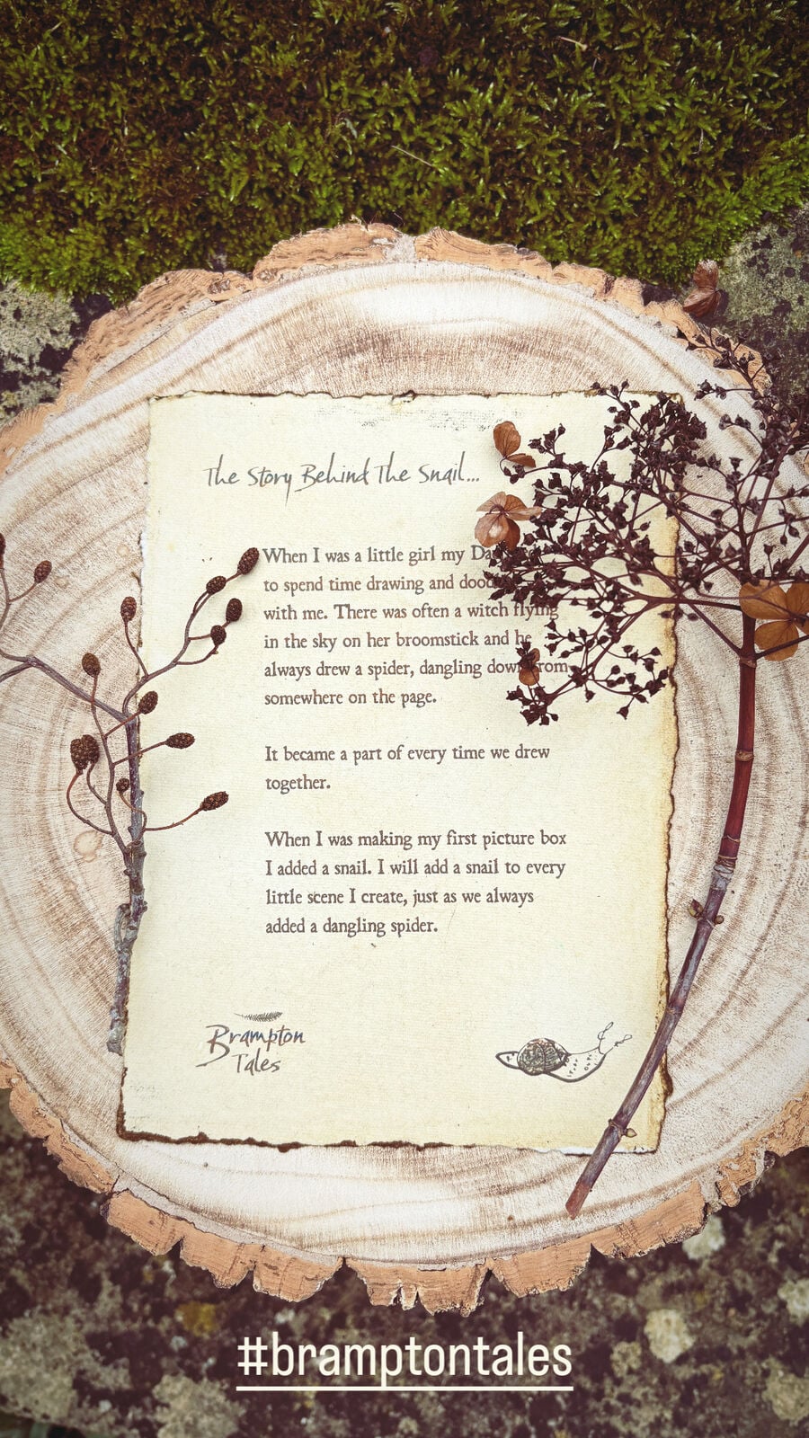 The story of the snail