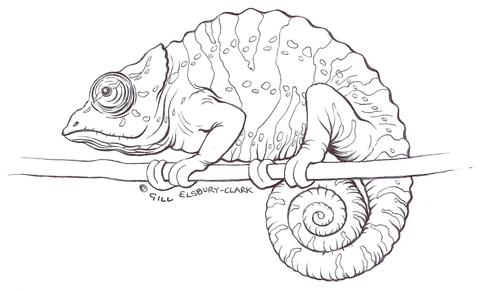 Chameleon