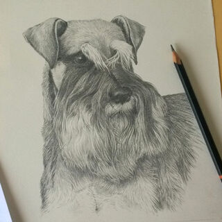 Drawings