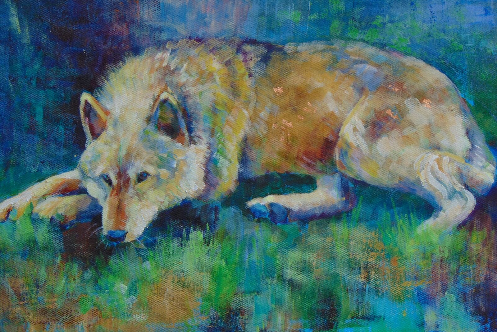 WOLF AT REST