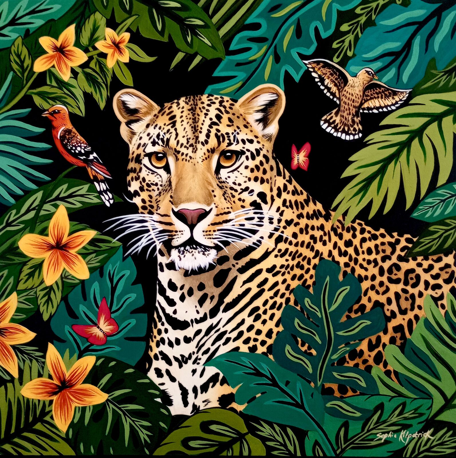 Wild Wonders