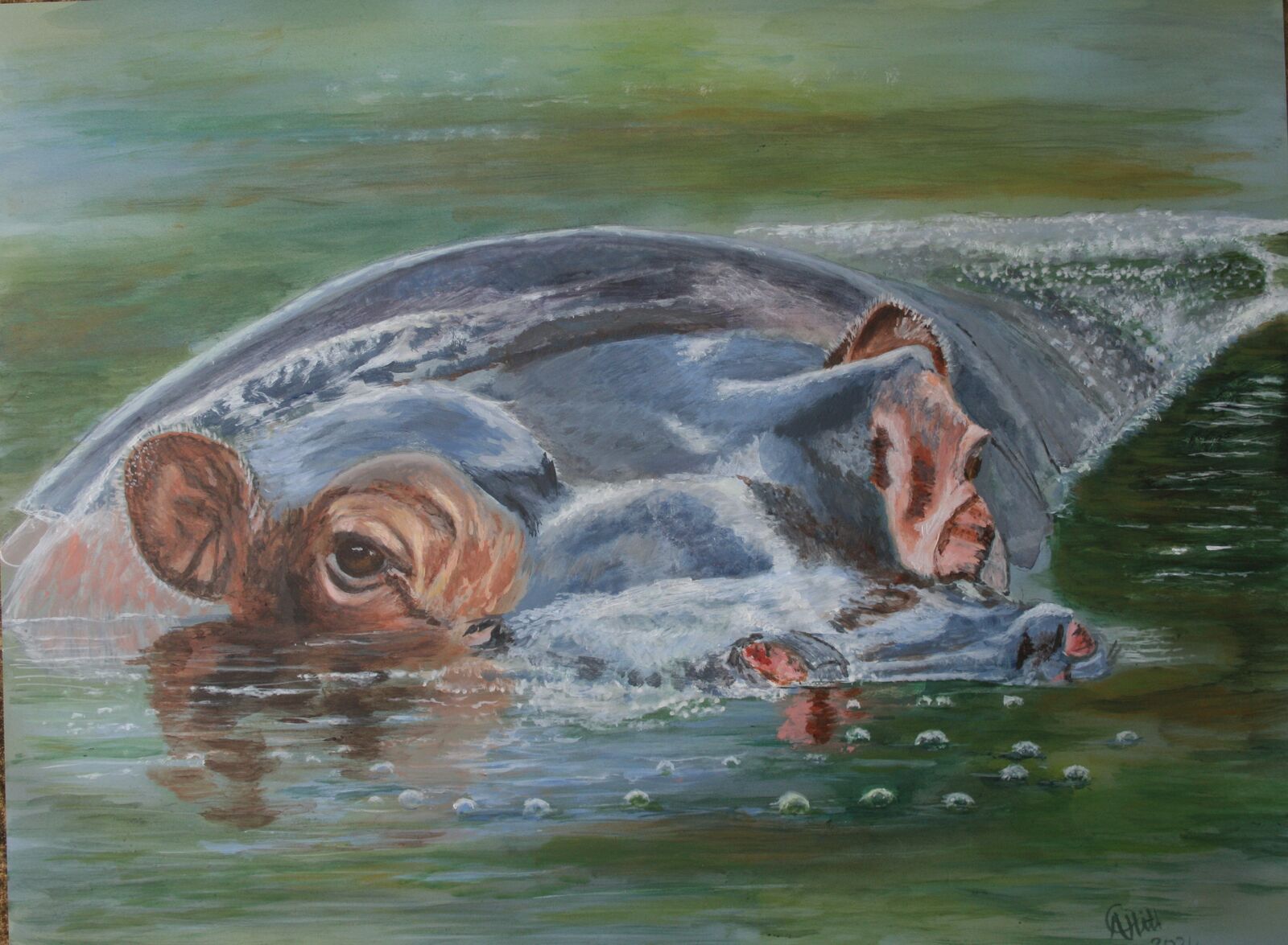 Happy Hippo