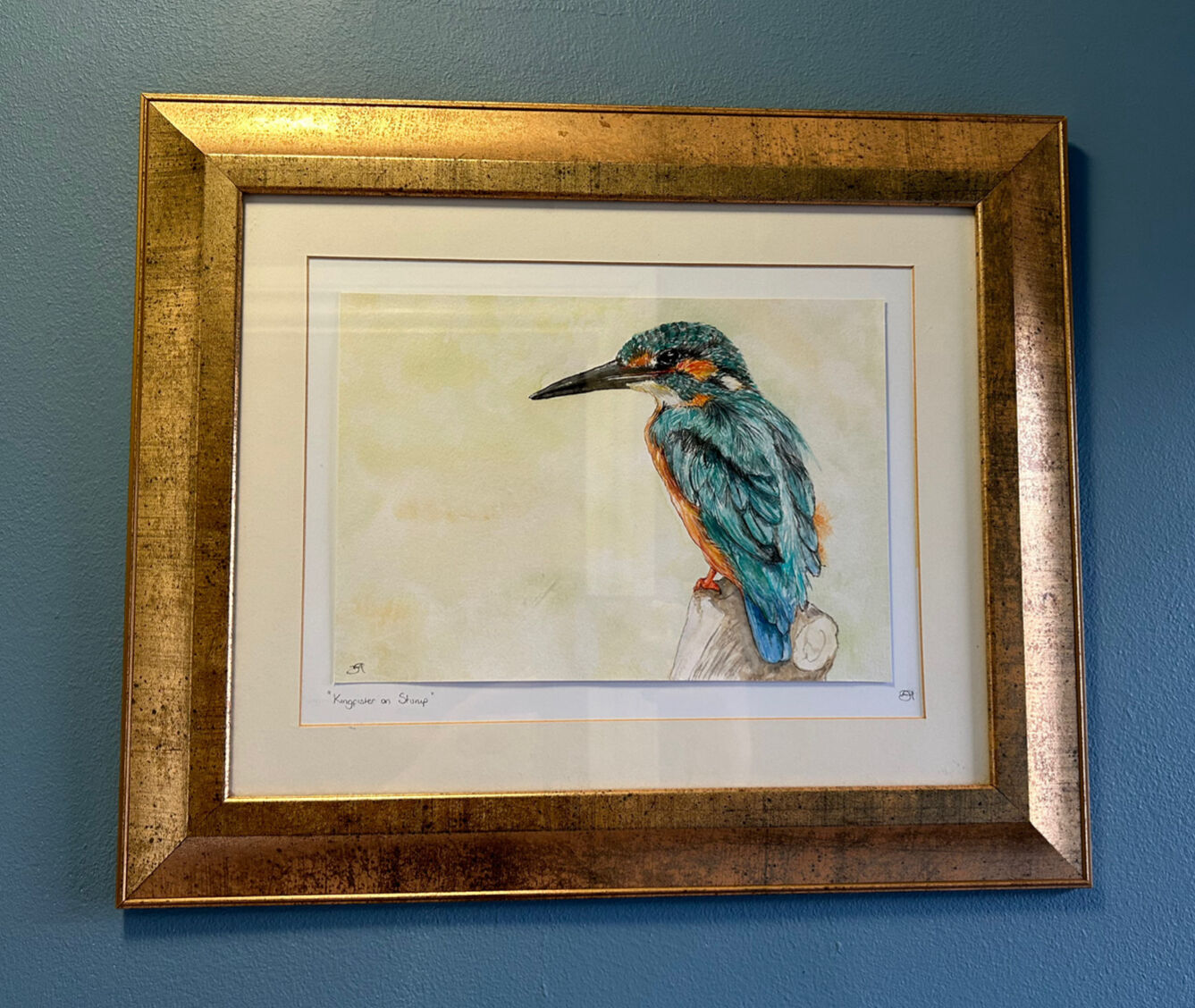 Kingfisher on Stump