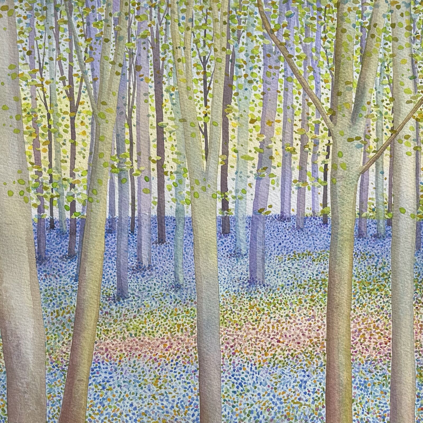 Bluebell Wood