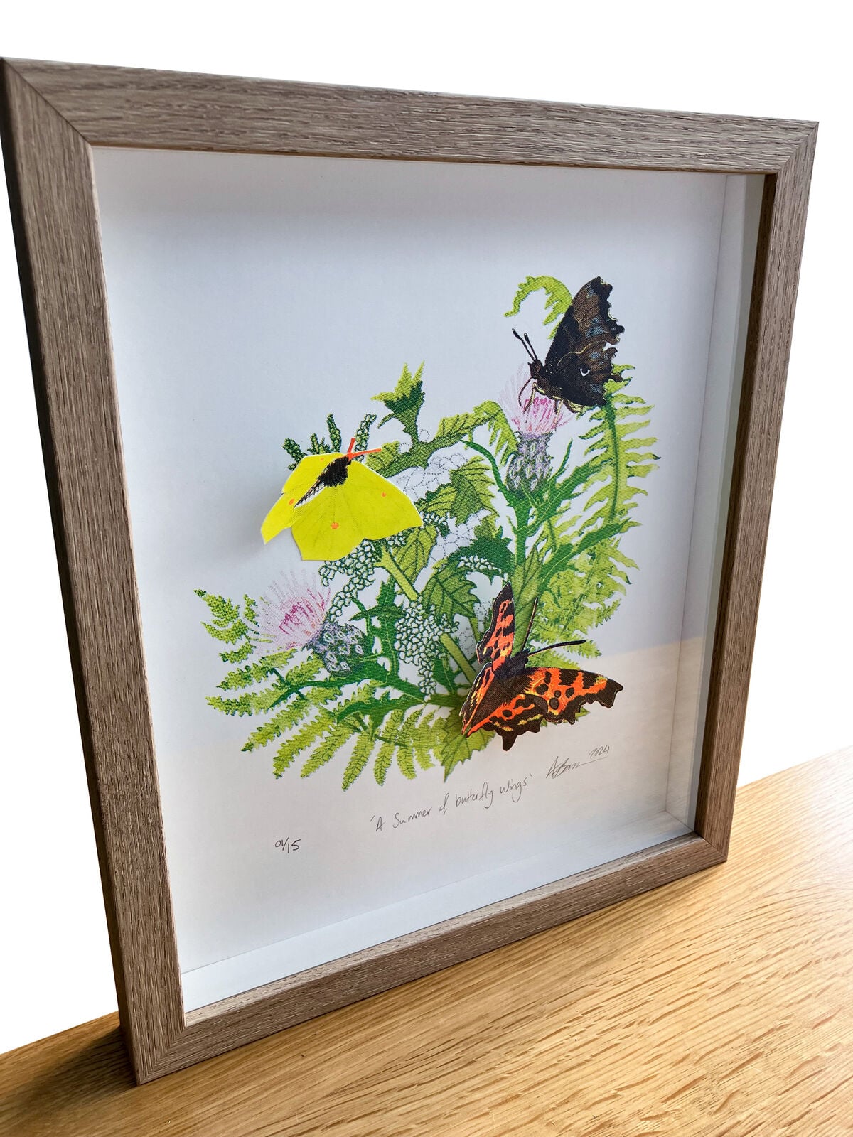 A Summer of butterfly wings framed 
