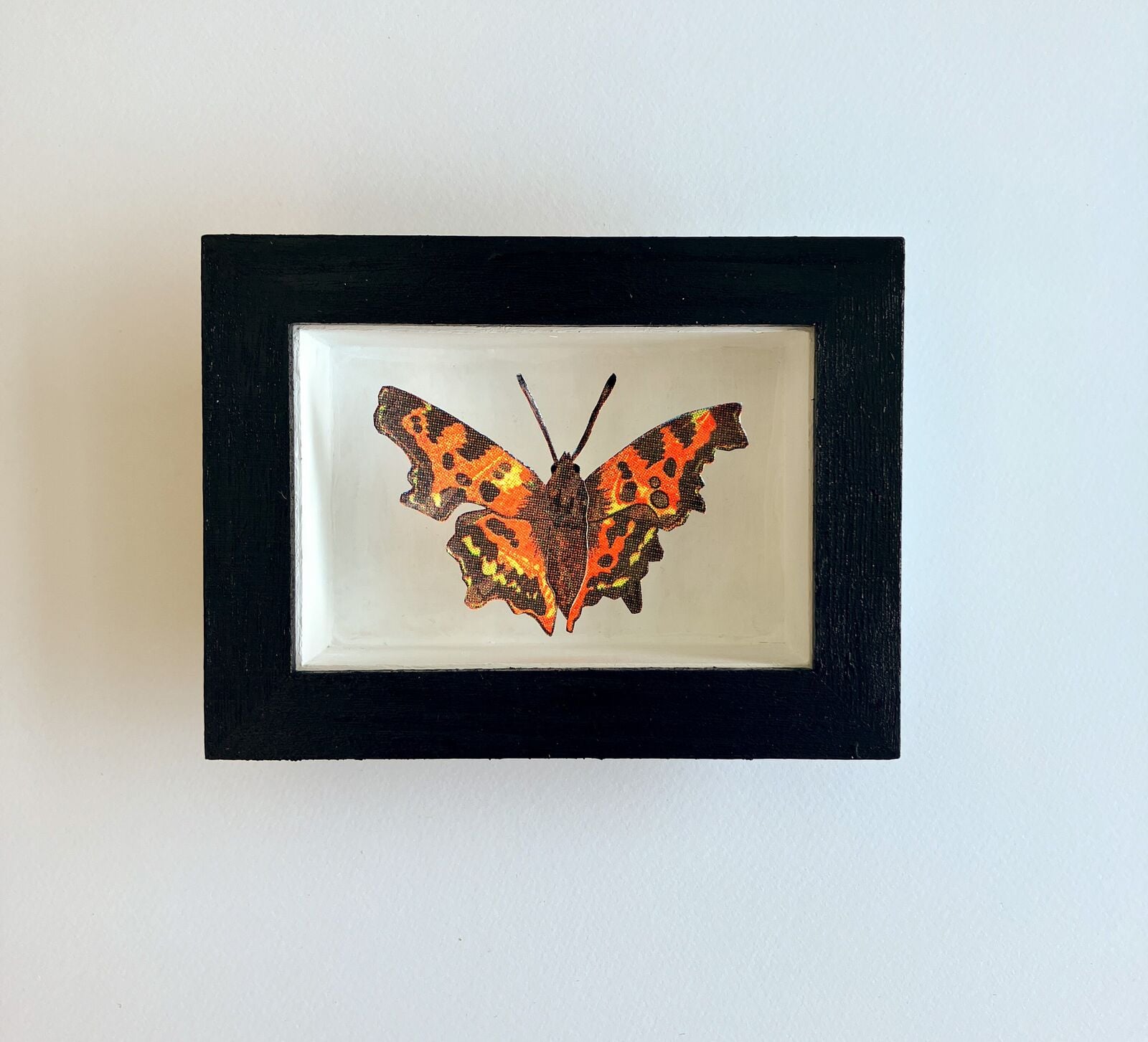 The Comma