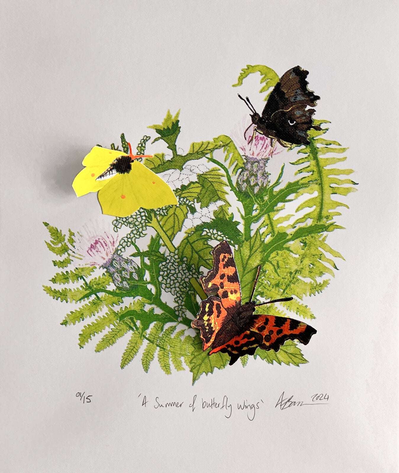 A summer of butterfly wings
