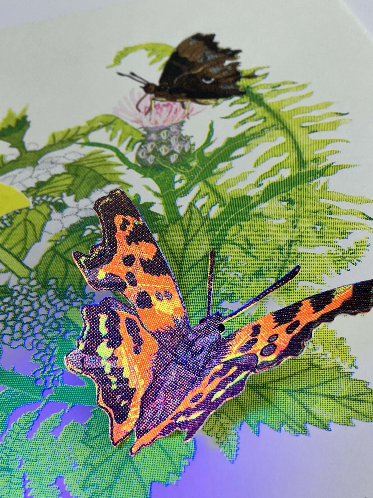 A summer of butterfly wings with UV light
