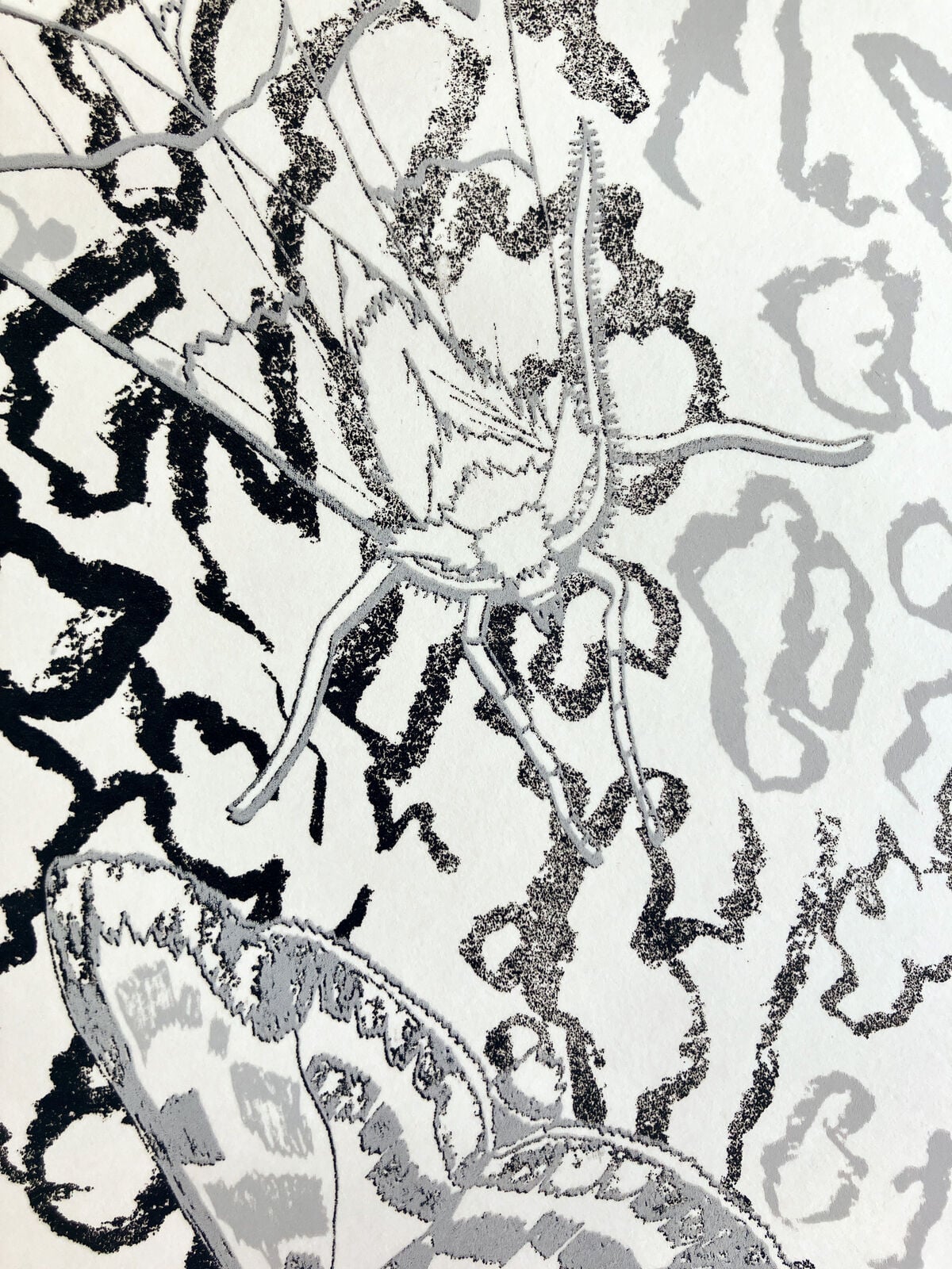 Close up of Camouflage