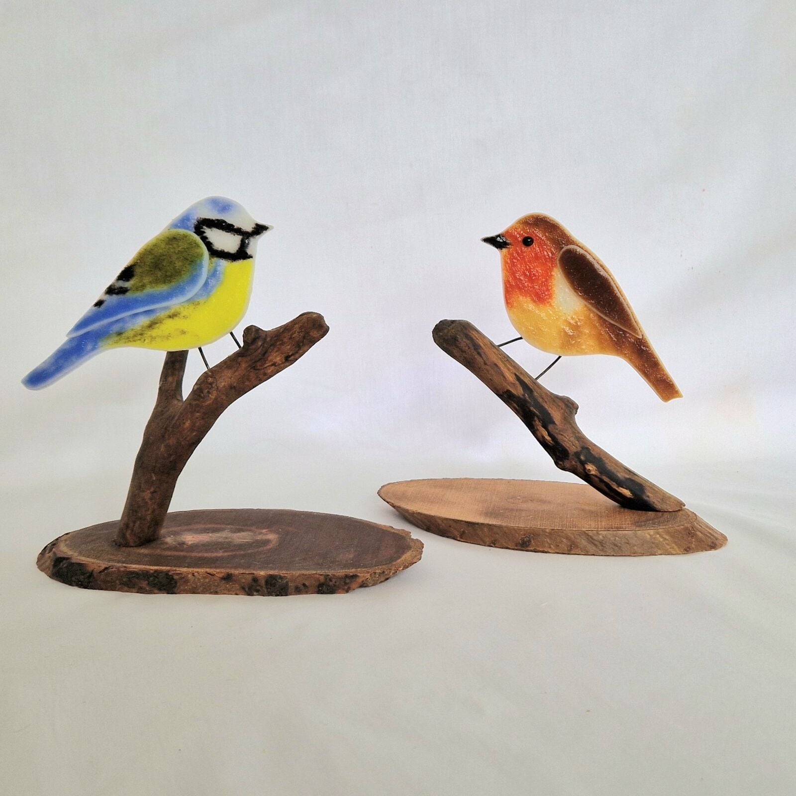 Garden Birds