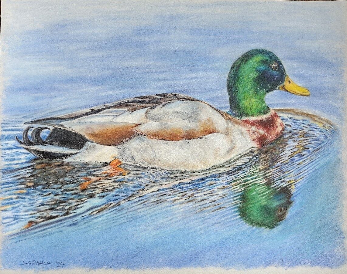 Mallard
