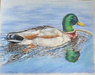 I draw for me