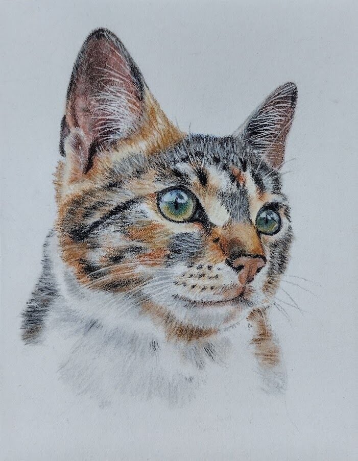 Mini master cat