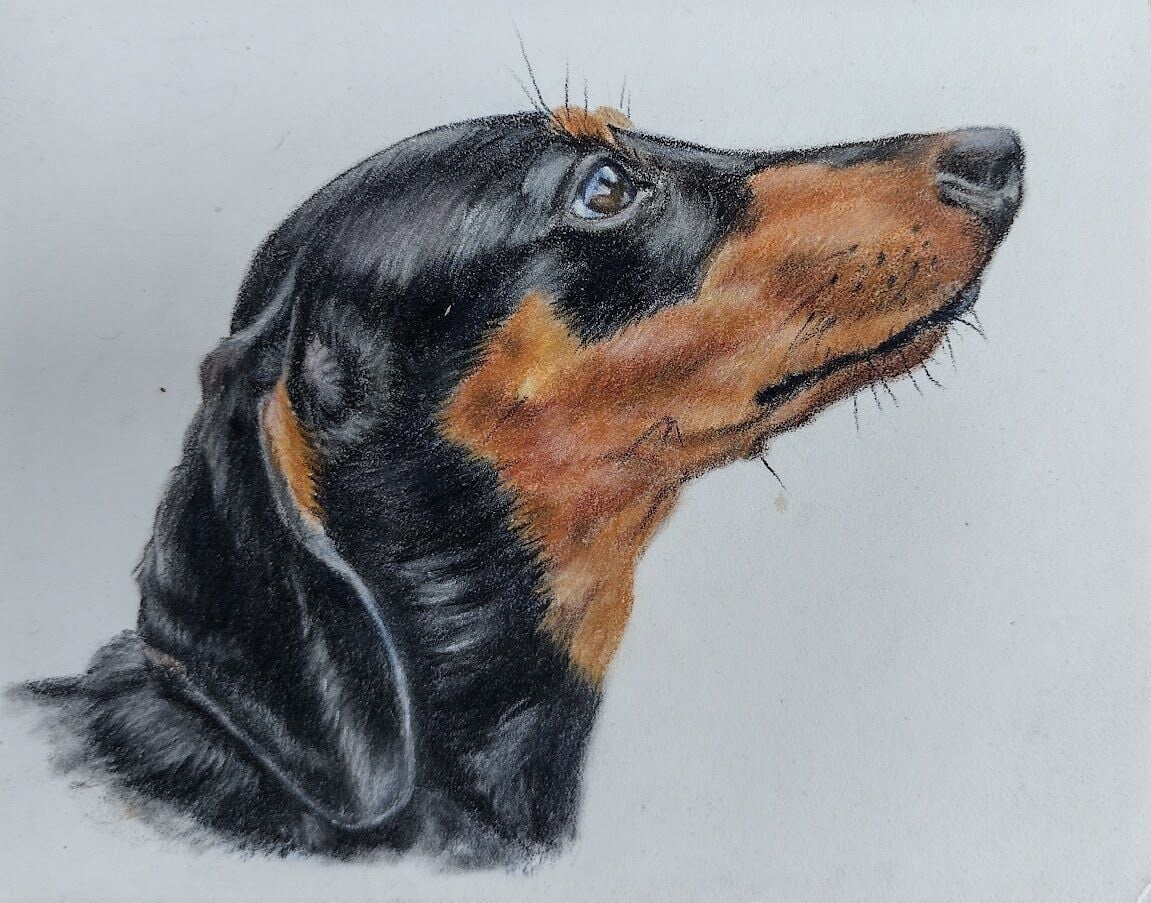 Mini Master Dachsund