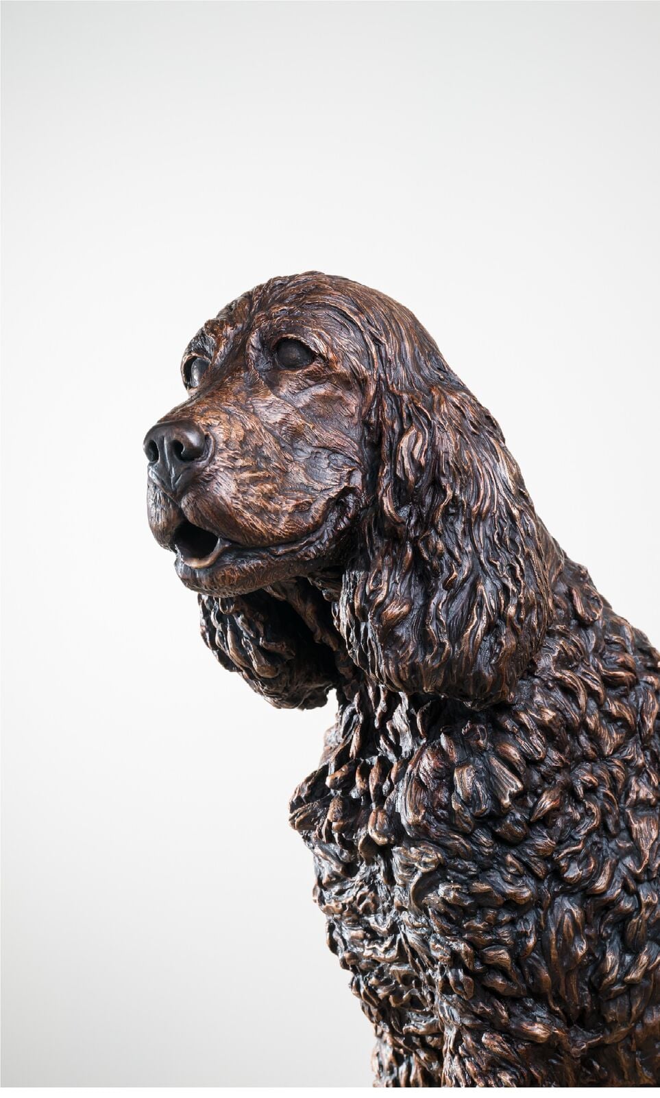 Portrait Sculpture commission a Spaniel  in bronze