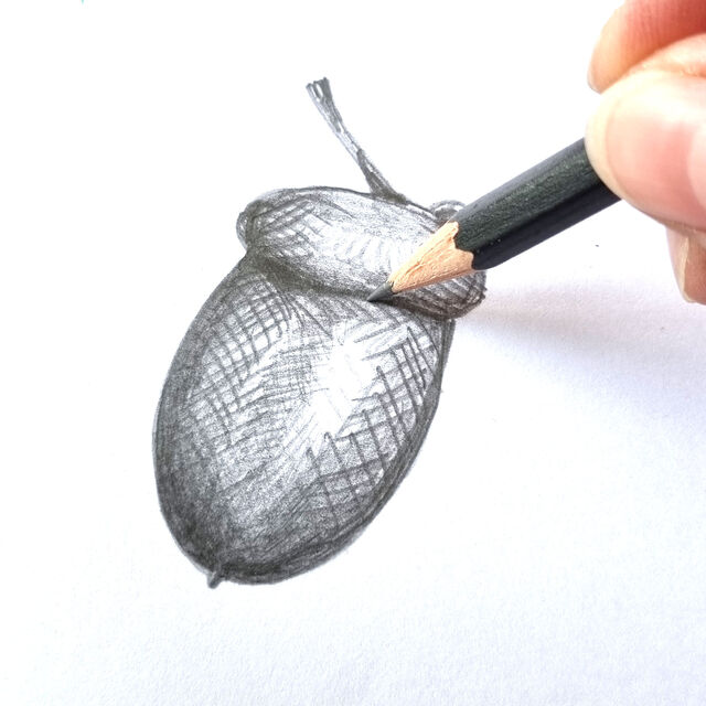 Acorn Sketch