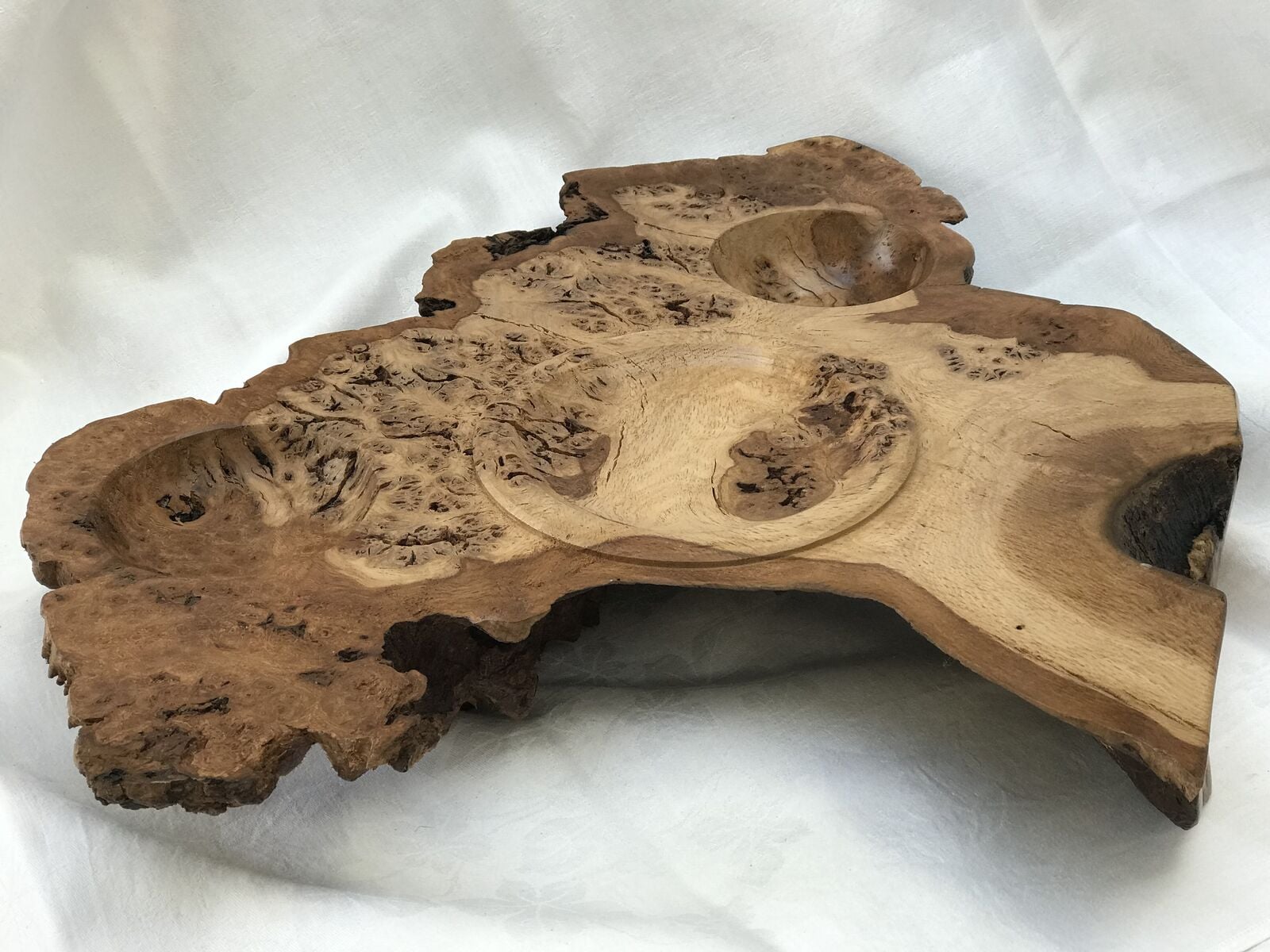 Oak Burr show piece