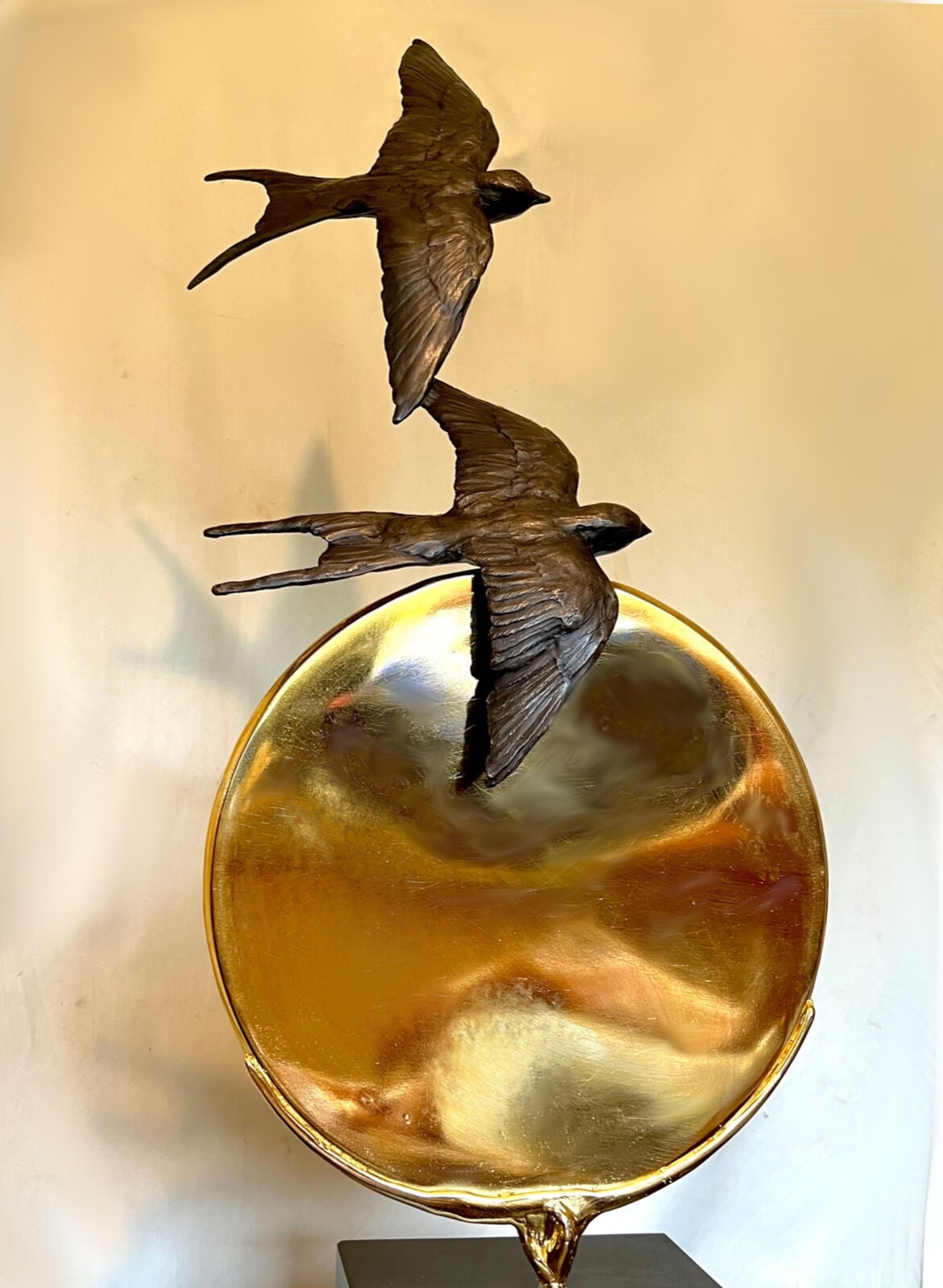 Sun Swallows