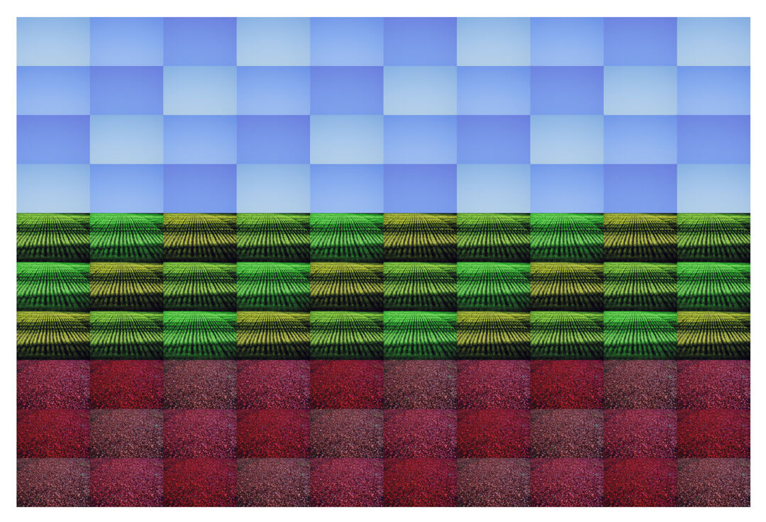 RGB Winter Landscape